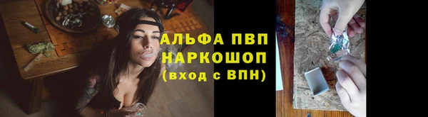 spice Новозыбков