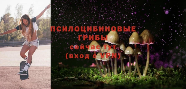 прущий лед Абаза