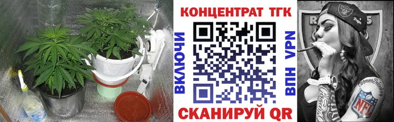 ТГК жижа МЕГА tor Удомля